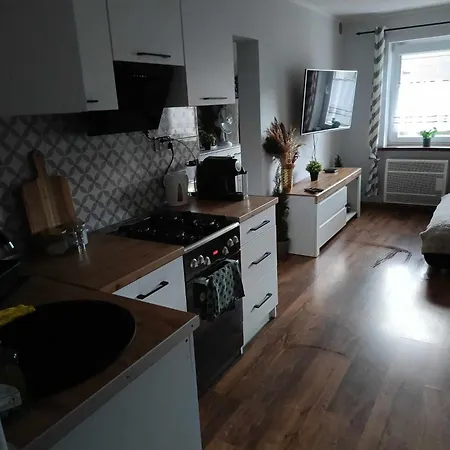 Apartament 30 M2 For You Szczawno-Zdroj Eksteriør bilde